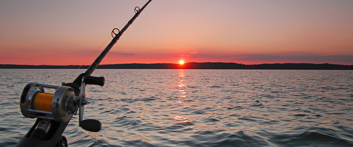 On this trip we will catch the greatest fish from finnish archipelago. Those fishes are zander, perch and pike.