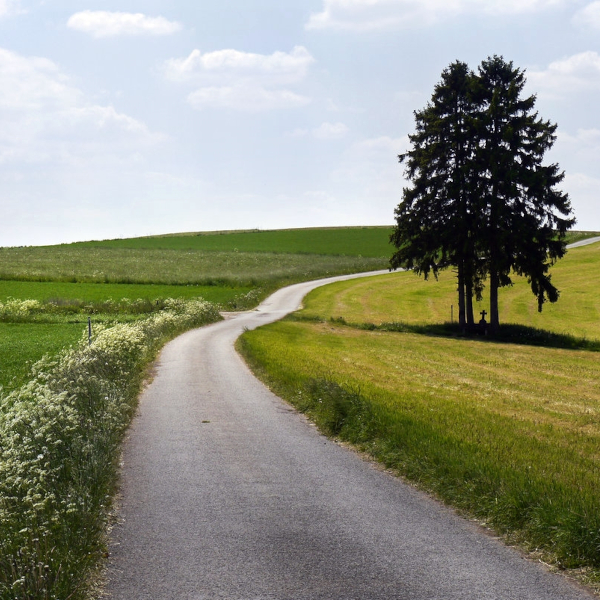 Rad- und Wanderweg südlich von Burg-Reuland